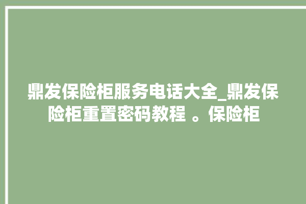 鼎发保险柜服务电话大全_鼎发保险柜重置密码教程 。保险柜