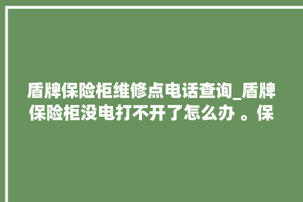 盾牌保险柜维修点电话查询_盾牌保险柜没电打不开了怎么办 。保险柜