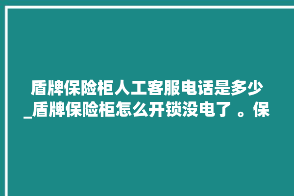 盾牌保险柜人工客服电话是多少_盾牌保险柜怎么开锁没电了 。保险柜