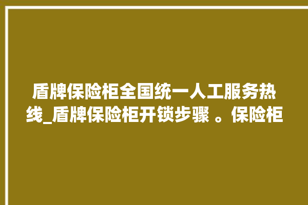 盾牌保险柜全国统一人工服务热线_盾牌保险柜开锁步骤 。保险柜