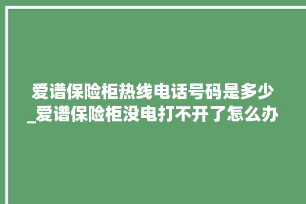 爱谱保险柜热线电话号码是多少_爱谱保险柜没电打不开了怎么办 。保险柜