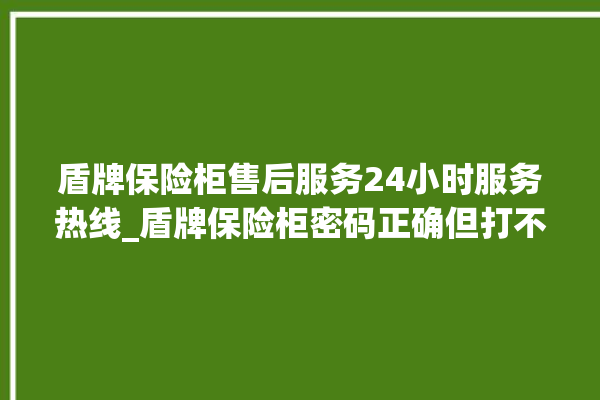 盾牌保险柜售后服务24小时服务热线_盾牌保险柜密码正确但打不开 。保险柜