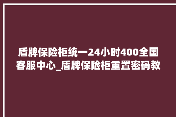 盾牌保险柜统一24小时400全国客服中心_盾牌保险柜重置密码教程 。保险柜