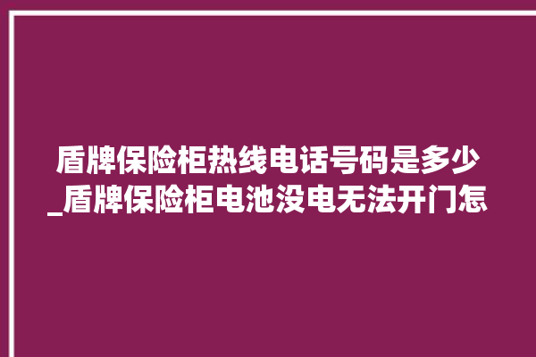 盾牌保险柜热线电话号码是多少_盾牌保险柜电池没电无法开门怎么办 。保险柜