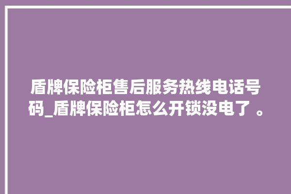 盾牌保险柜售后服务热线电话号码_盾牌保险柜怎么开锁没电了 。保险柜