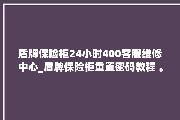 盾牌保险柜24小时400客服维修中心_盾牌保险柜重置密码教程 。保险柜