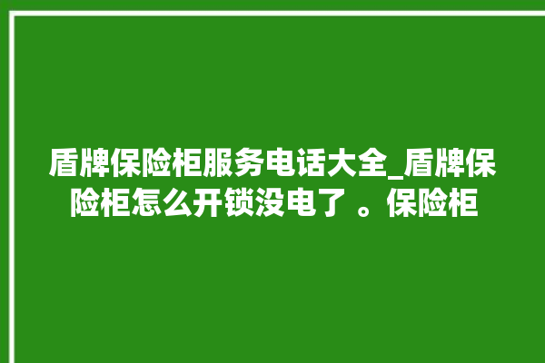 盾牌保险柜服务电话大全_盾牌保险柜怎么开锁没电了 。保险柜