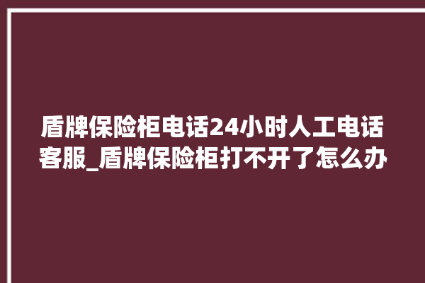 盾牌保险柜电话24小时人工电话客服_盾牌保险柜打不开了怎么办 。保险柜