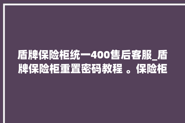 盾牌保险柜统一400售后客服_盾牌保险柜重置密码教程 。保险柜