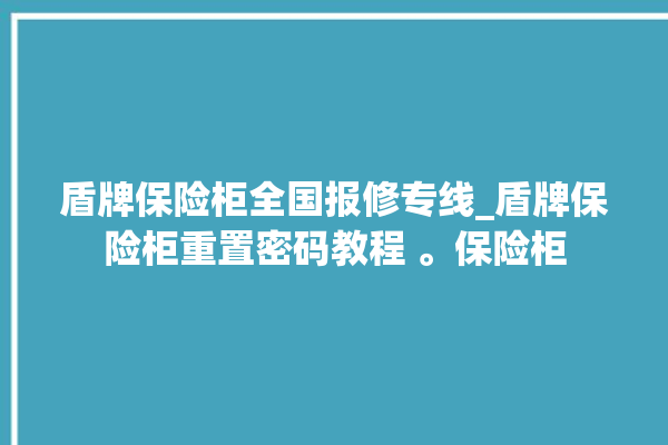 盾牌保险柜全国报修专线_盾牌保险柜重置密码教程 。保险柜