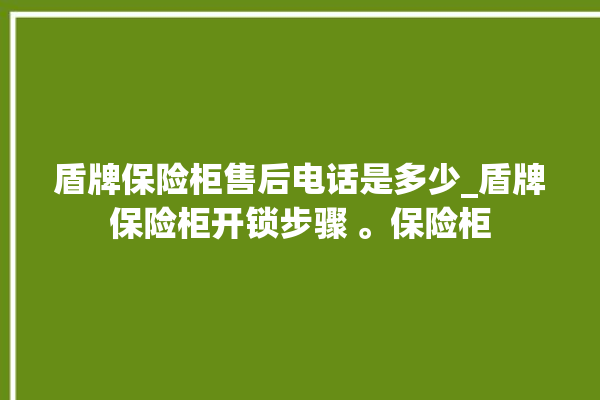 盾牌保险柜售后电话是多少_盾牌保险柜开锁步骤 。保险柜