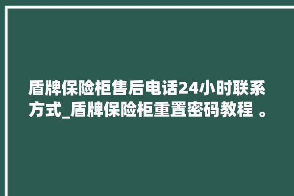 盾牌保险柜售后电话24小时联系方式_盾牌保险柜重置密码教程 。保险柜