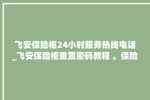 飞安保险柜24小时服务热线电话_飞安保险柜重置密码教程 。保险柜