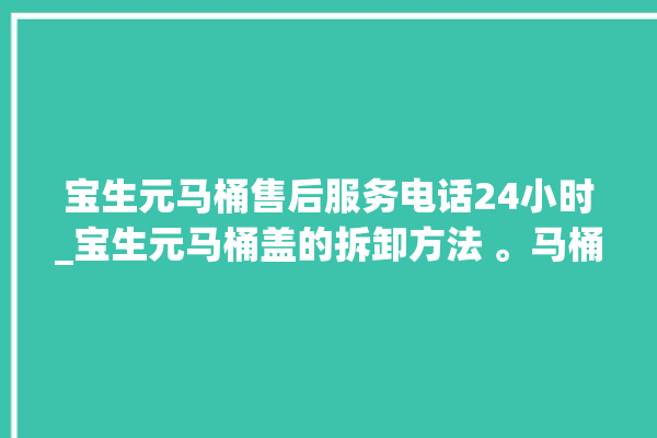 宝生元马桶售后服务电话24小时_宝生元马桶盖的拆卸方法 。马桶盖