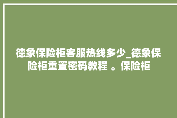 德象保险柜客服热线多少_德象保险柜重置密码教程 。保险柜