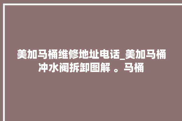 美加马桶维修地址电话_美加马桶冲水阀拆卸图解 。马桶