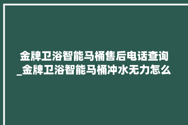 金牌卫浴智能马桶售后电话查询_金牌卫浴智能马桶冲水无力怎么处理 。马桶