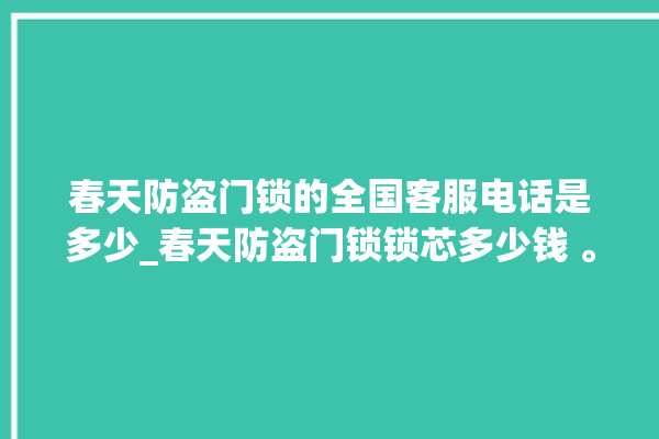 春天防盗门锁的全国客服电话是多少_春天防盗门锁锁芯多少钱 。门锁