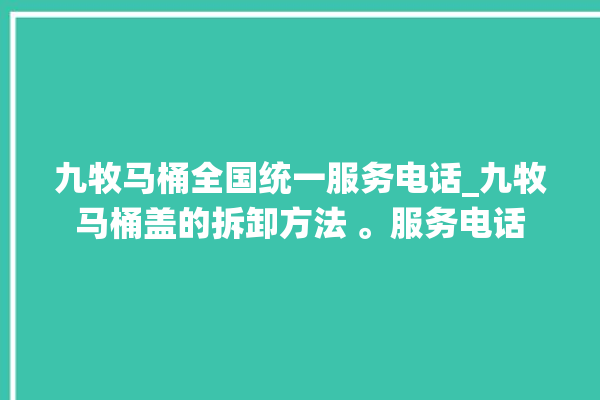 九牧马桶全国统一服务电话_九牧马桶盖的拆卸方法 。服务电话