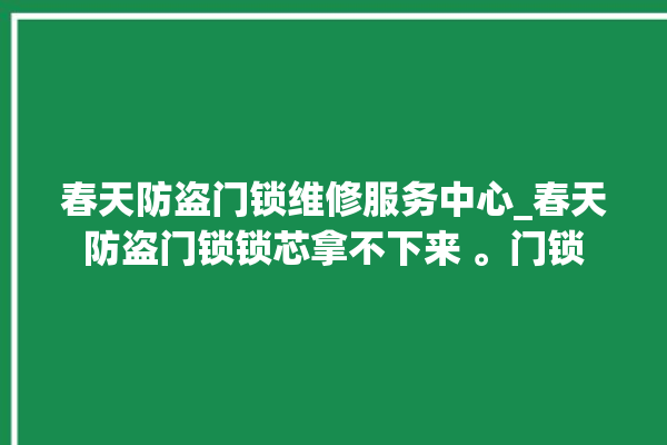 春天防盗门锁维修服务中心_春天防盗门锁锁芯拿不下来 。门锁