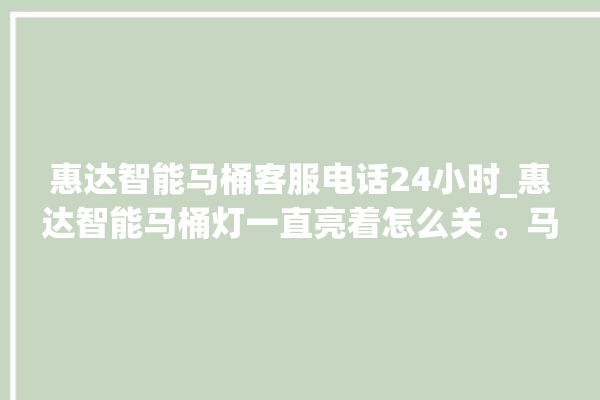 惠达智能马桶客服电话24小时_惠达智能马桶灯一直亮着怎么关 。马桶