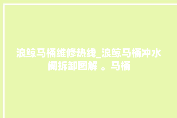 浪鲸马桶维修热线_浪鲸马桶冲水阀拆卸图解 。马桶