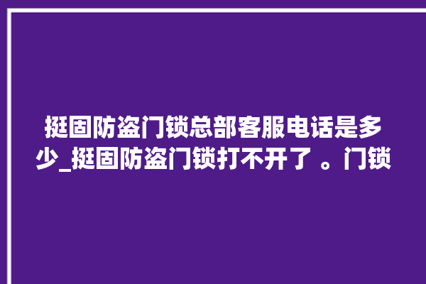 挺固防盗门锁总部客服电话是多少_挺固防盗门锁打不开了 。门锁