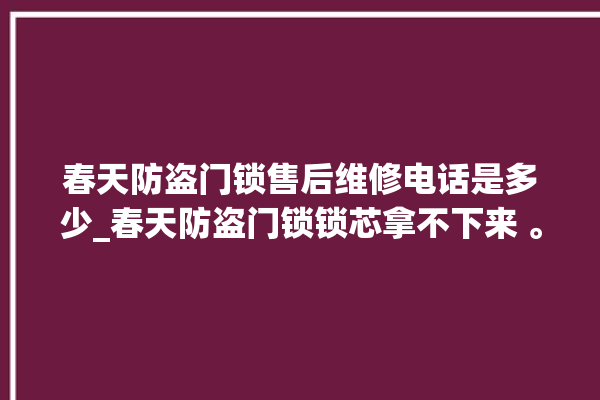 春天防盗门锁售后维修电话是多少_春天防盗门锁锁芯拿不下来 。门锁