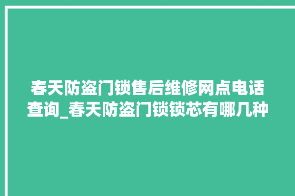 春天防盗门锁售后维修网点电话查询_春天防盗门锁锁芯有哪几种 。门锁