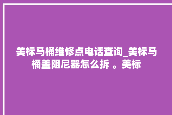 美标马桶维修点电话查询_美标马桶盖阻尼器怎么拆 。美标