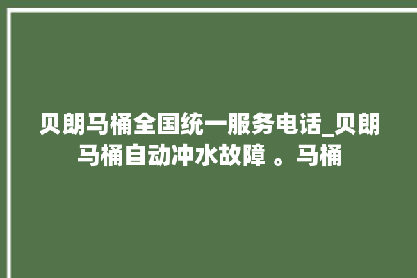 贝朗马桶全国统一服务电话_贝朗马桶自动冲水故障 。马桶