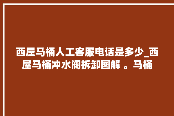 西屋马桶人工客服电话是多少_西屋马桶冲水阀拆卸图解 。马桶