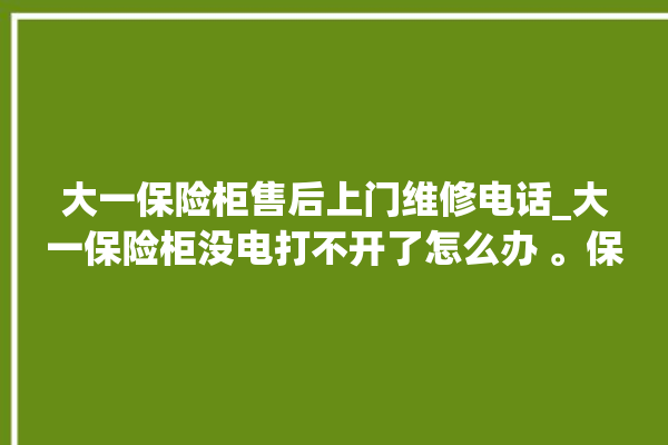 大一保险柜售后上门维修电话_大一保险柜没电打不开了怎么办 。保险柜