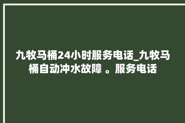 九牧马桶24小时服务电话_九牧马桶自动冲水故障 。服务电话