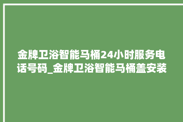 金牌卫浴智能马桶24小时服务电话号码_金牌卫浴智能马桶盖安装与拆卸方法介绍 。卫浴