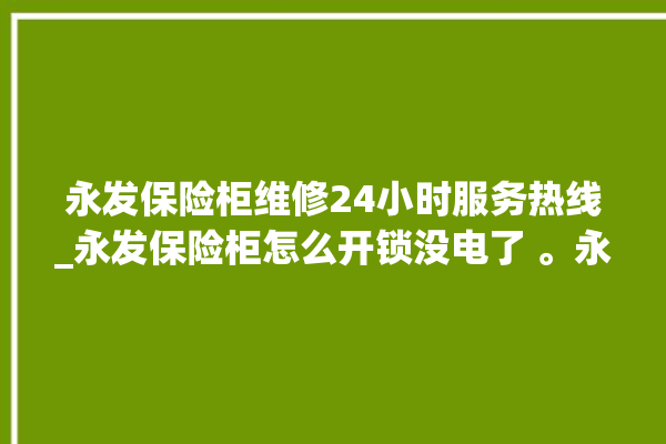 永发保险柜维修24小时服务热线_永发保险柜怎么开锁没电了 。永发