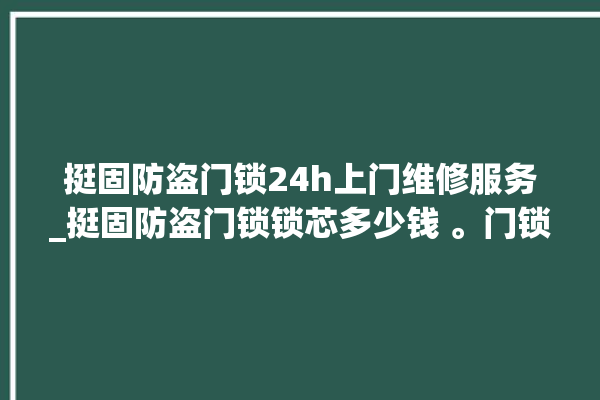 挺固防盗门锁24h上门维修服务_挺固防盗门锁锁芯多少钱 。门锁