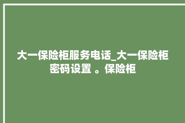 大一保险柜服务电话_大一保险柜密码设置 。保险柜