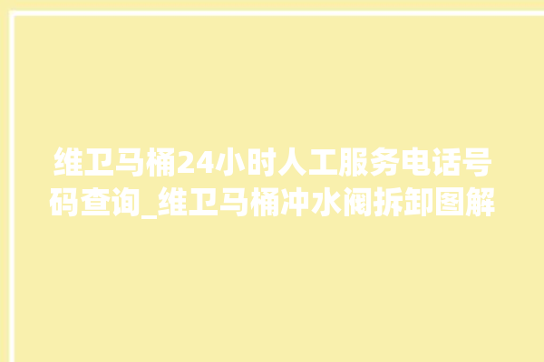 维卫马桶24小时人工服务电话号码查询_维卫马桶冲水阀拆卸图解 。马桶