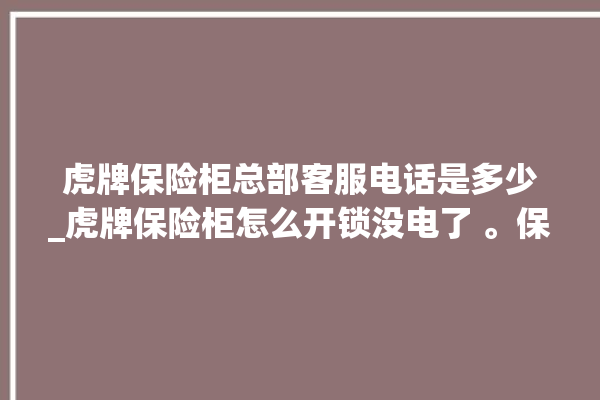 虎牌保险柜总部客服电话是多少_虎牌保险柜怎么开锁没电了 。保险柜