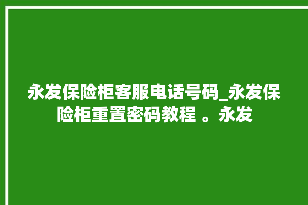 永发保险柜客服电话号码_永发保险柜重置密码教程 。永发