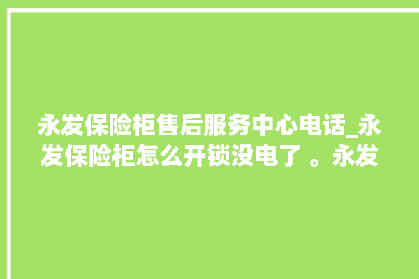 永发保险柜售后服务中心电话_永发保险柜怎么开锁没电了 。永发