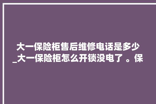 大一保险柜售后维修电话是多少_大一保险柜怎么开锁没电了 。保险柜