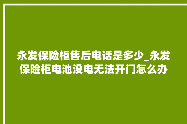 永发保险柜售后电话是多少_永发保险柜电池没电无法开门怎么办 。永发