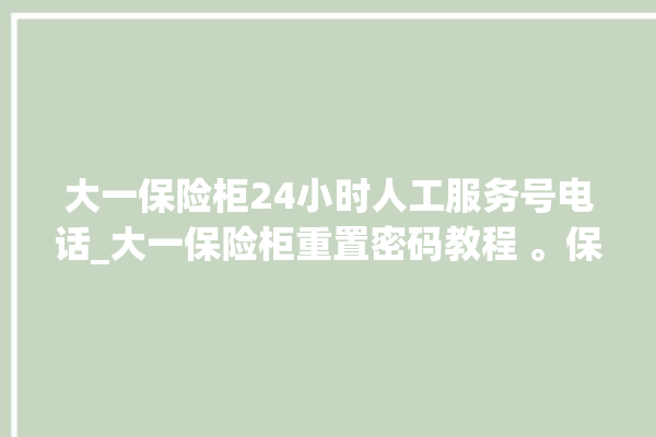 大一保险柜24小时人工服务号电话_大一保险柜重置密码教程 。保险柜