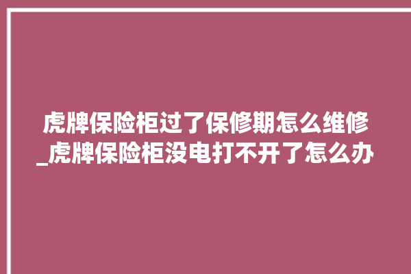 虎牌保险柜过了保修期怎么维修_虎牌保险柜没电打不开了怎么办 。保险柜