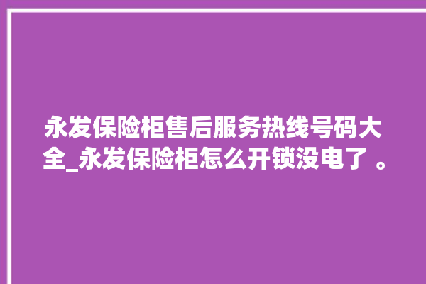 永发保险柜售后服务热线号码大全_永发保险柜怎么开锁没电了 。永发