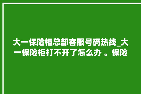 大一保险柜总部客服号码热线_大一保险柜打不开了怎么办 。保险柜