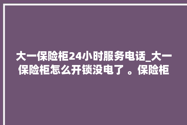 大一保险柜24小时服务电话_大一保险柜怎么开锁没电了 。保险柜