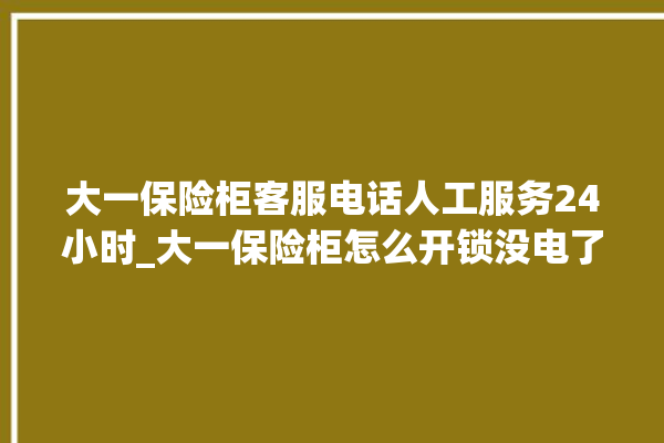 大一保险柜客服电话人工服务24小时_大一保险柜怎么开锁没电了 。保险柜